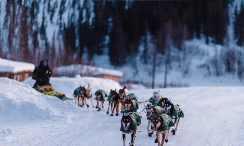 Africa to Alaska! South African becomes first to compete in famous Iditarod Dog Sled Race