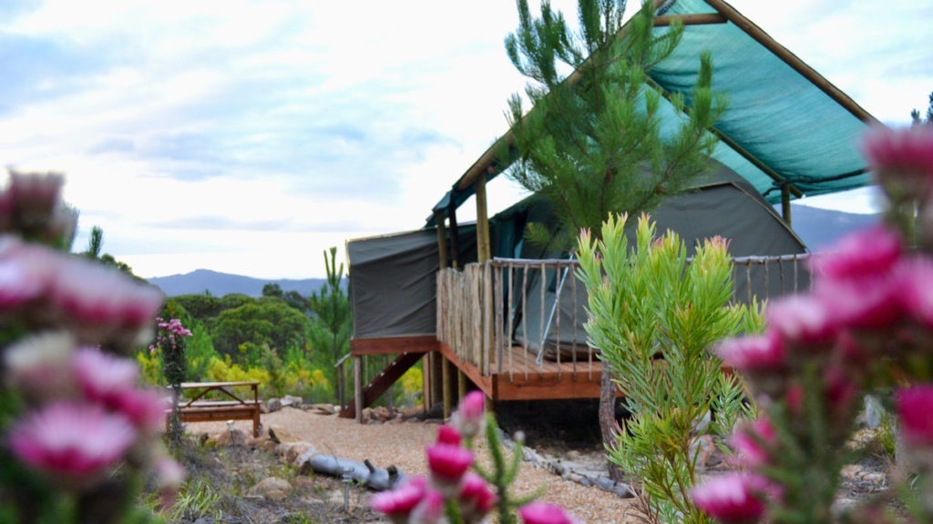 A nature-filled glamping stay for four in the Overberg