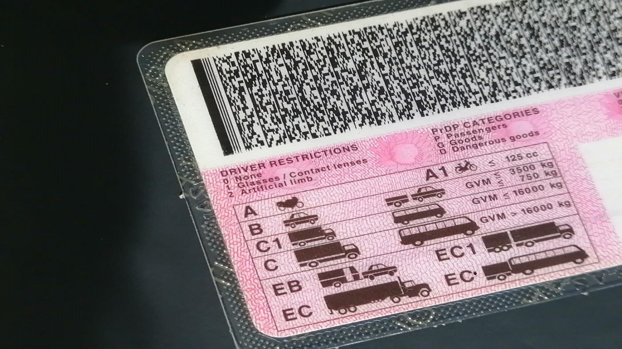 South African Learner's Licence