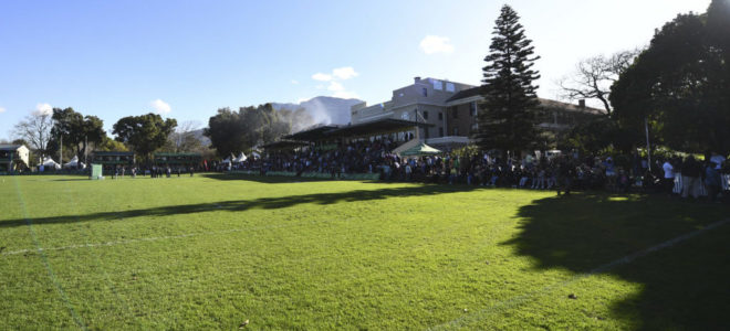 rugby and hockey