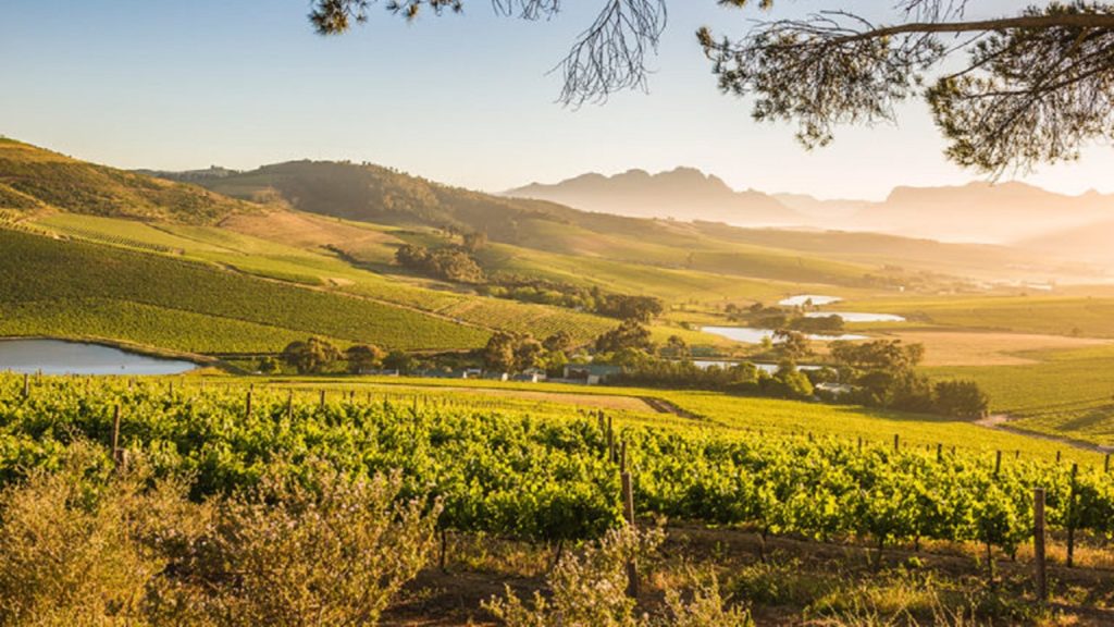 15 best wine destinations in Stellenbosch