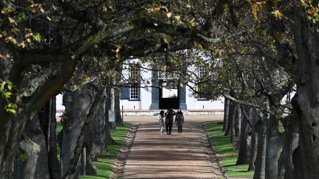 Constantia: Where vineyards meet luxury living and natural beauty