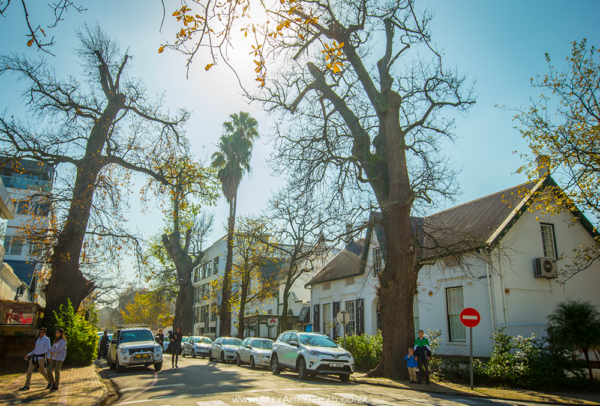 Stellenbosch