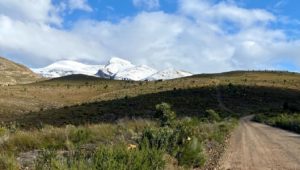 Where to experience a Winter Wonderland in the Western Cape