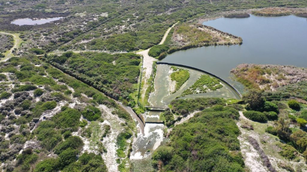 Cape Town seeks input on Zeekoevlei and Rondevlei weirs upgrade