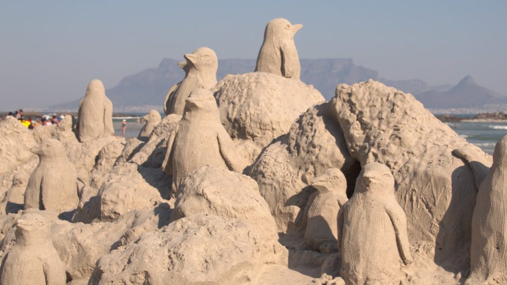 African penguin sand art reflects species' brush with extinction