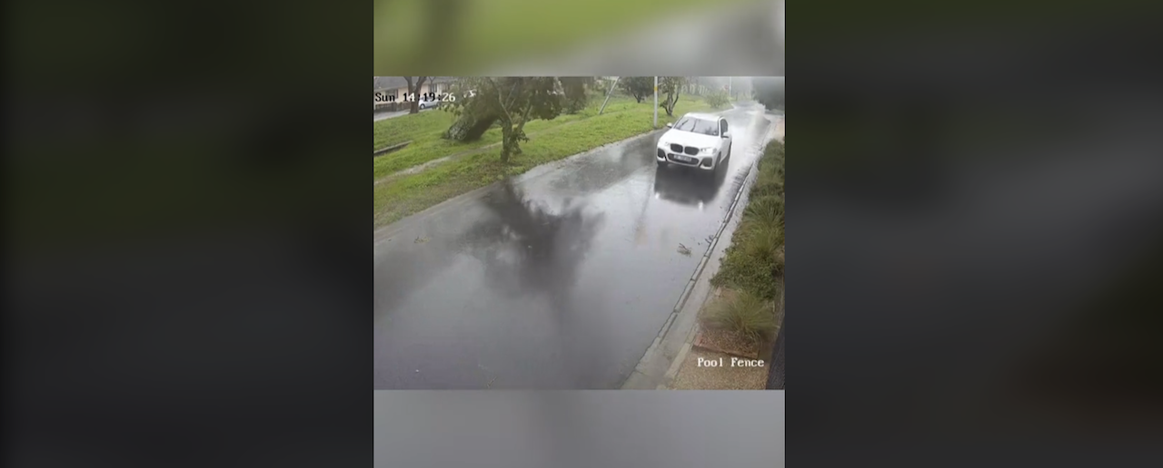 Watch: BMW driver narrowly escapes falling tree in Cape Town storm