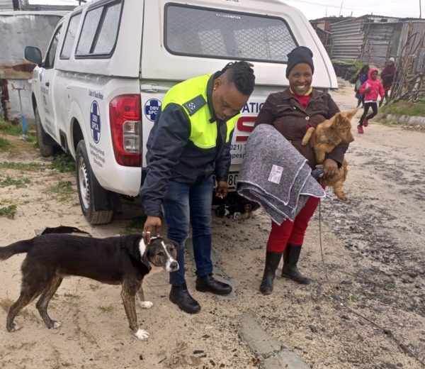 SPCA relief update