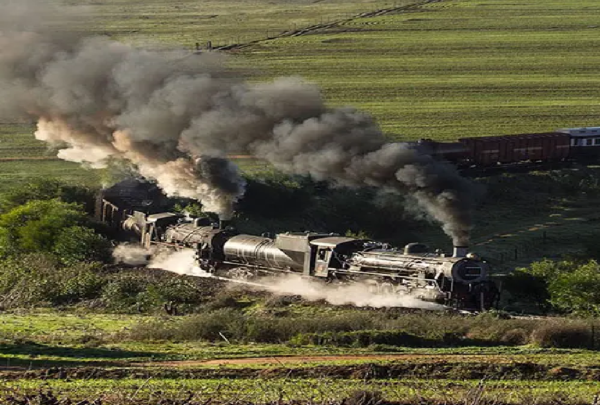 Robertson wine train