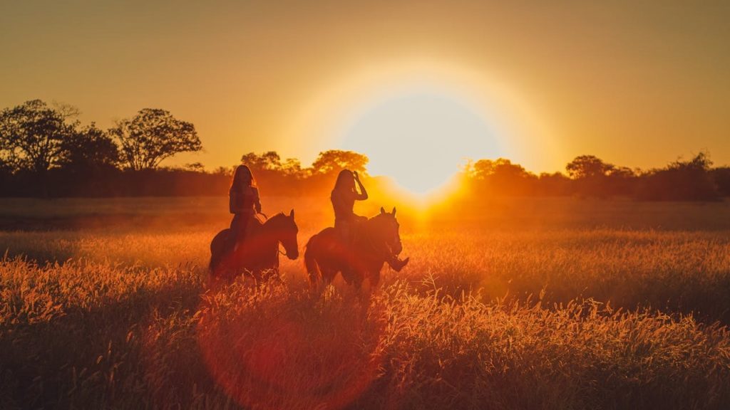 Quad biking to cruising: Your winter adventure guide