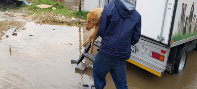 cape of good hope spca