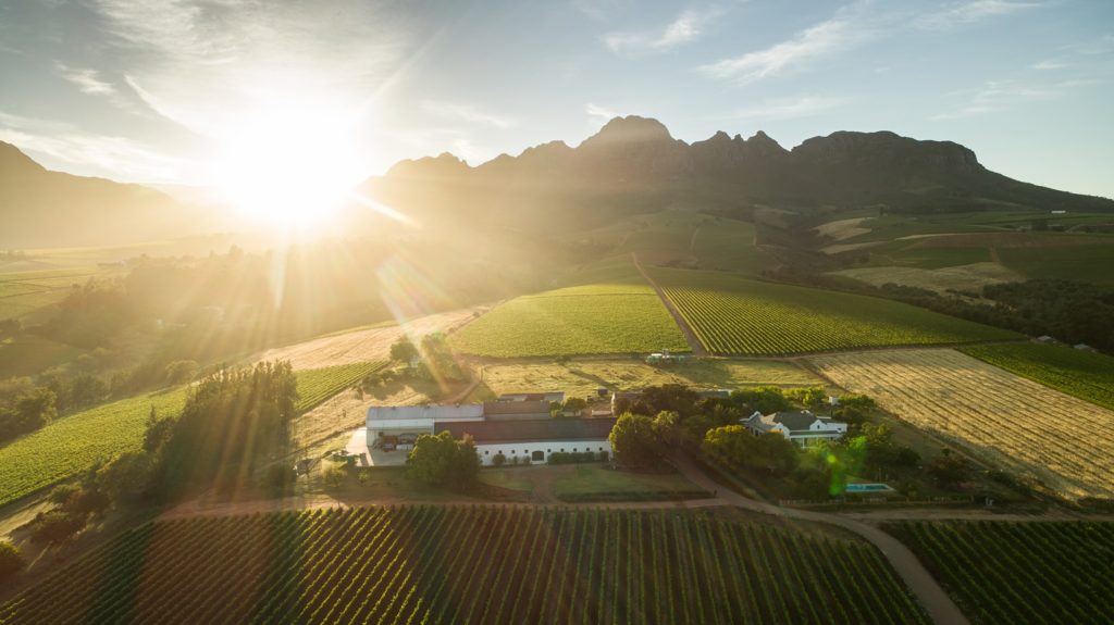 wine tasting in the cape winelands