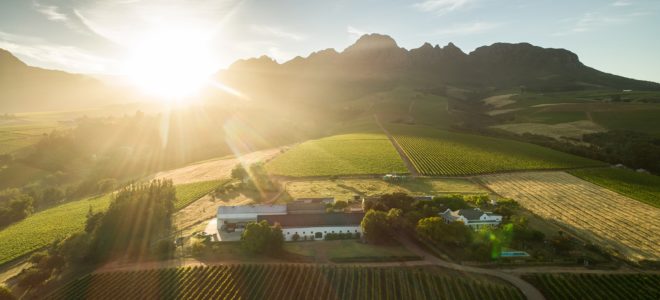 wine tasting in the cape winelands