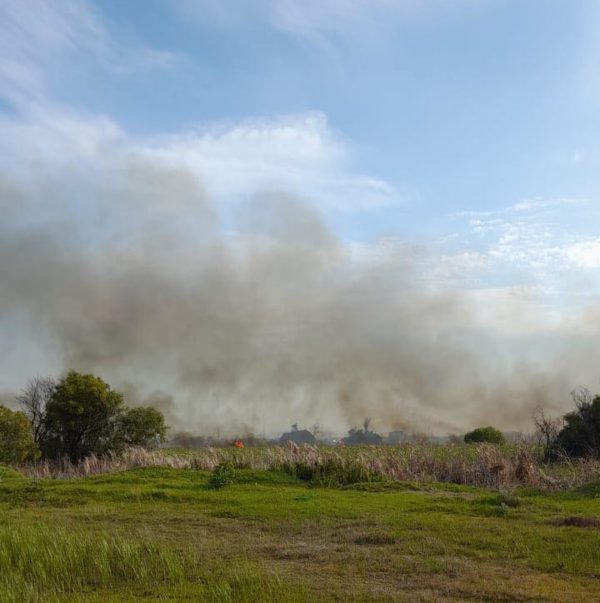 cape town fires