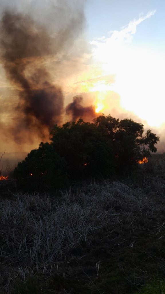 cape town fires