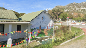 Kommetjie baboons