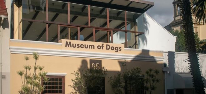 Museum of Dogs opens in CT