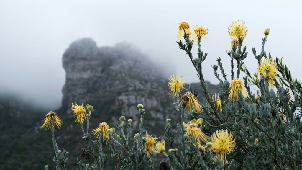 Another cold front is making its way to the Western Cape