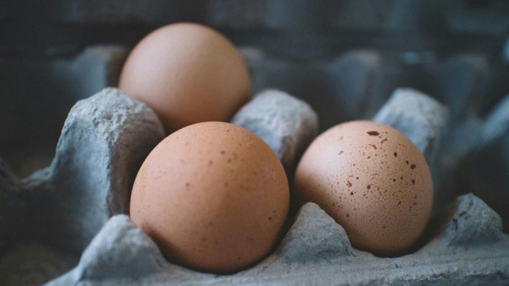 SA experiences egg shortages