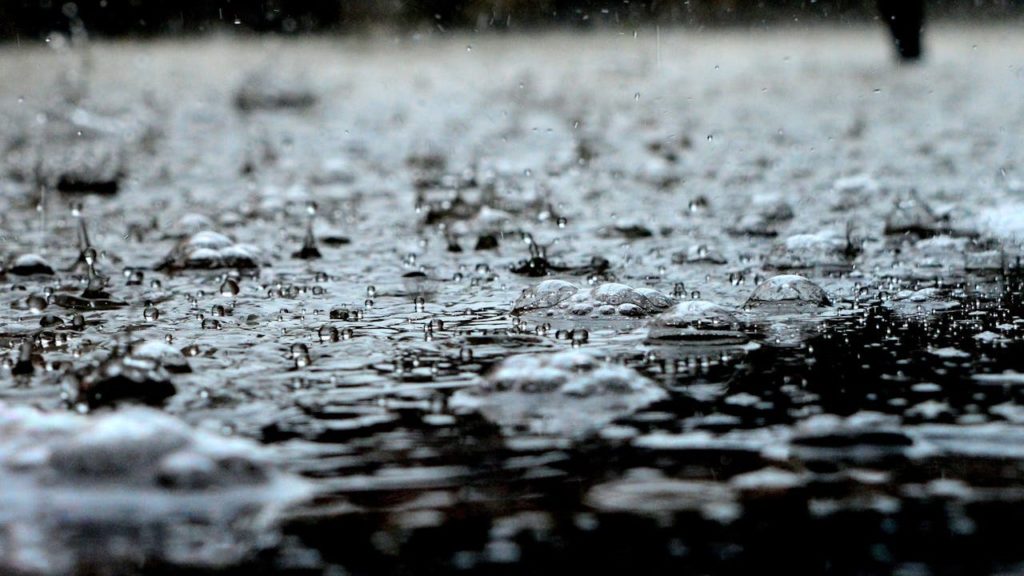 Morning and night rain with strong winds – Thursday weather forecast