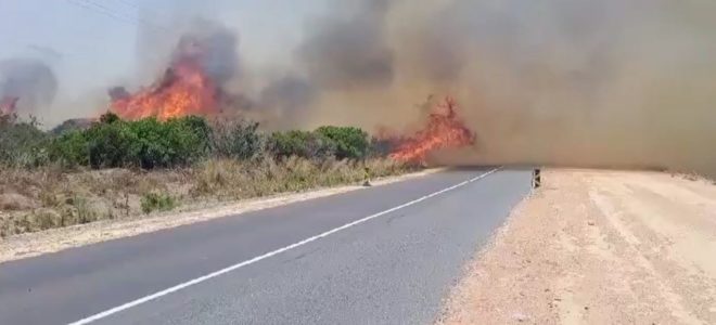 Western Cape braces for tough fire season due to heavy winter rainfall