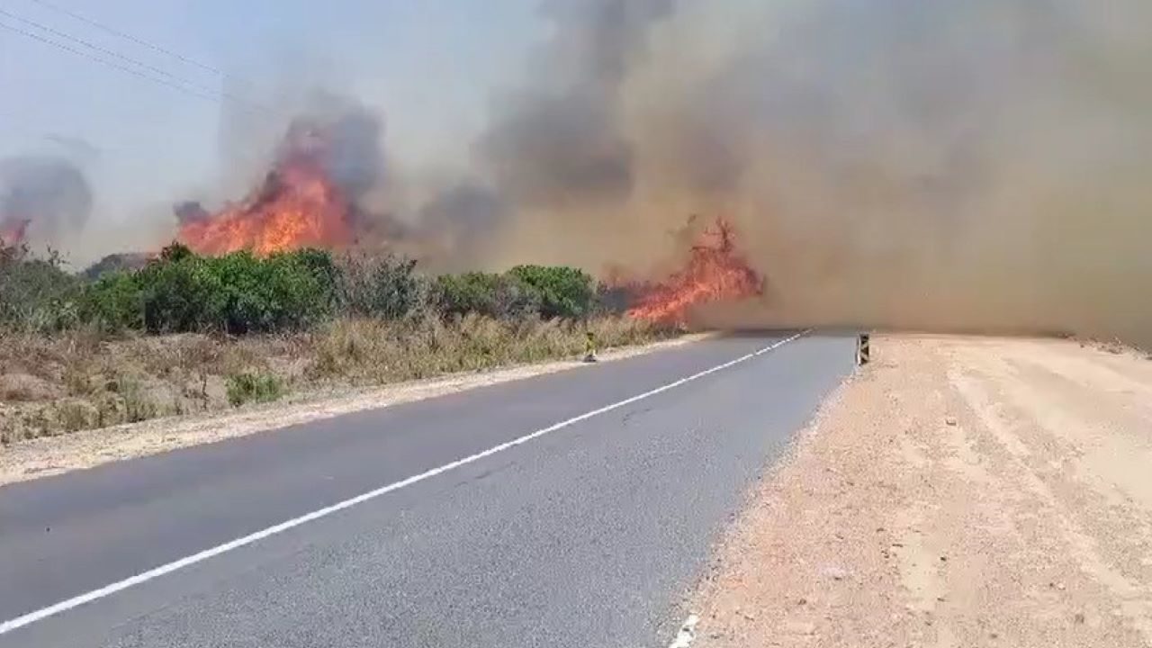 Western Cape braces for tough fire season due to heavy winter rainfall