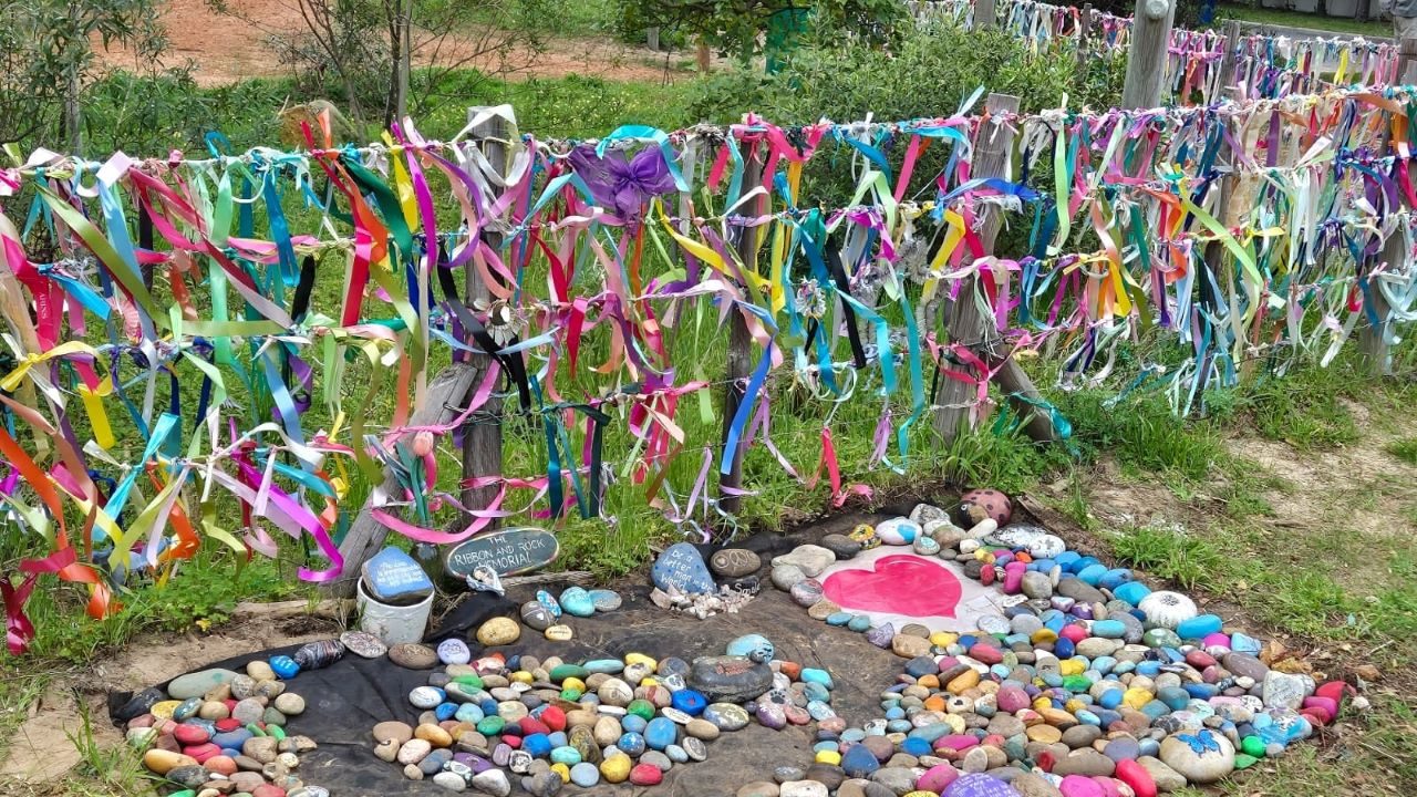 Revitalising the Ribbon Gate Help fill the gaps with painted rocks