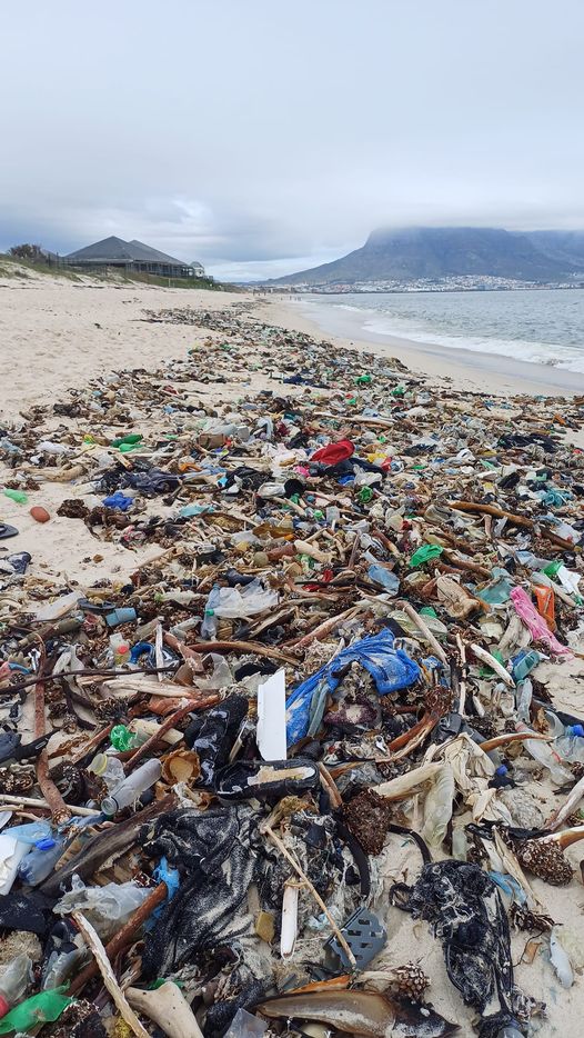 milnerton lagoon cleanup