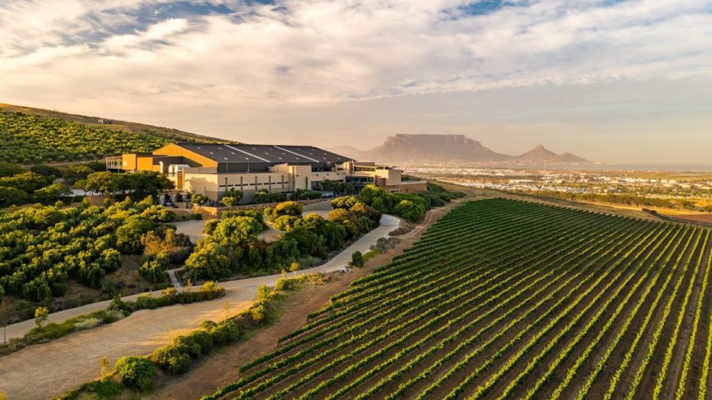 Cheers to the Cape Town winery dubbed as Michelangelo's Top Producer