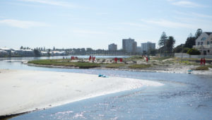 milnerton lagoon stench