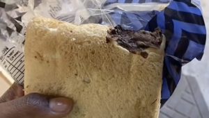 rodent in bread