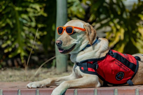 Wear your shades day 