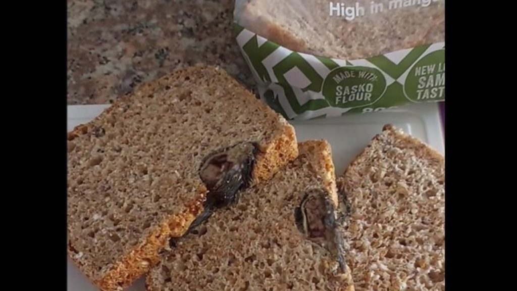 PepsiCo SA responds to viral video of rat found in bread