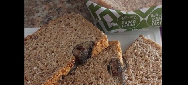 PepsiCo SA responds to viral video of rat found in bread