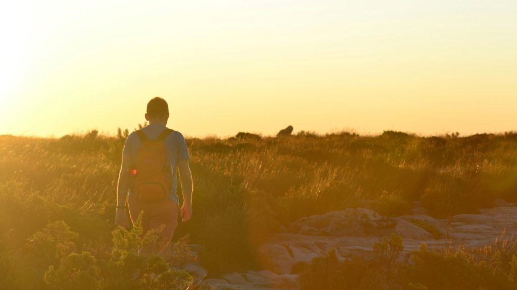 Get free access to Cape Town’s nature reserves for Biodiversity Blitz!